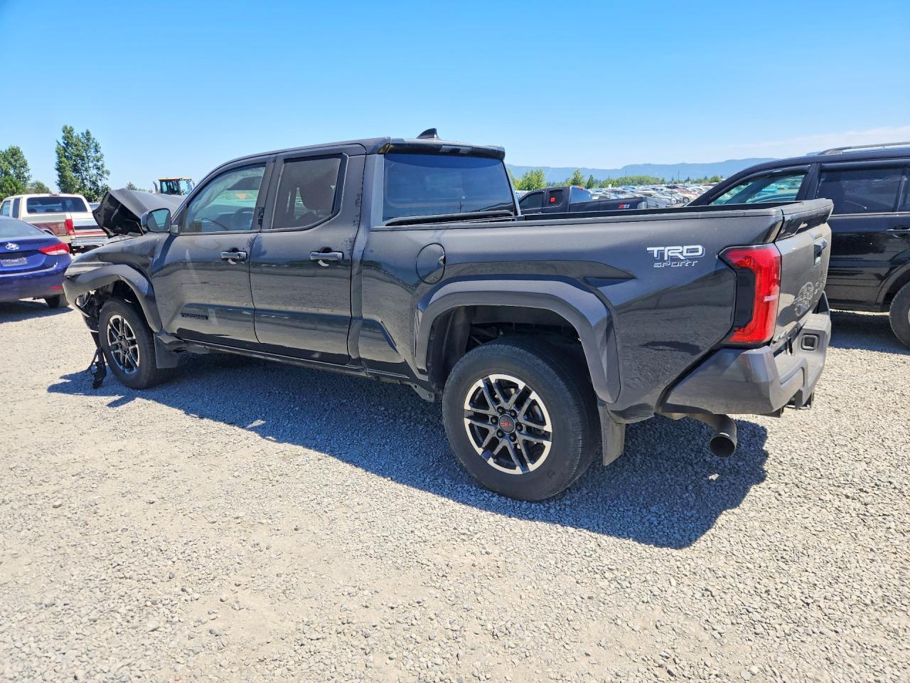 2024 Toyota Tacoma - Фото 2