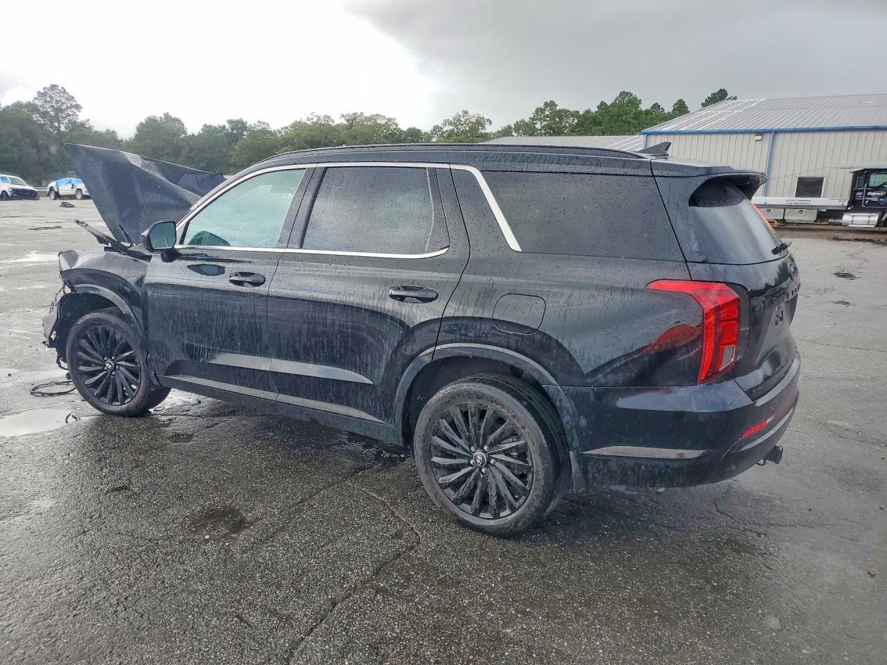 2025 Hyundai Palisade Calligraphy Night Edition - Image 2