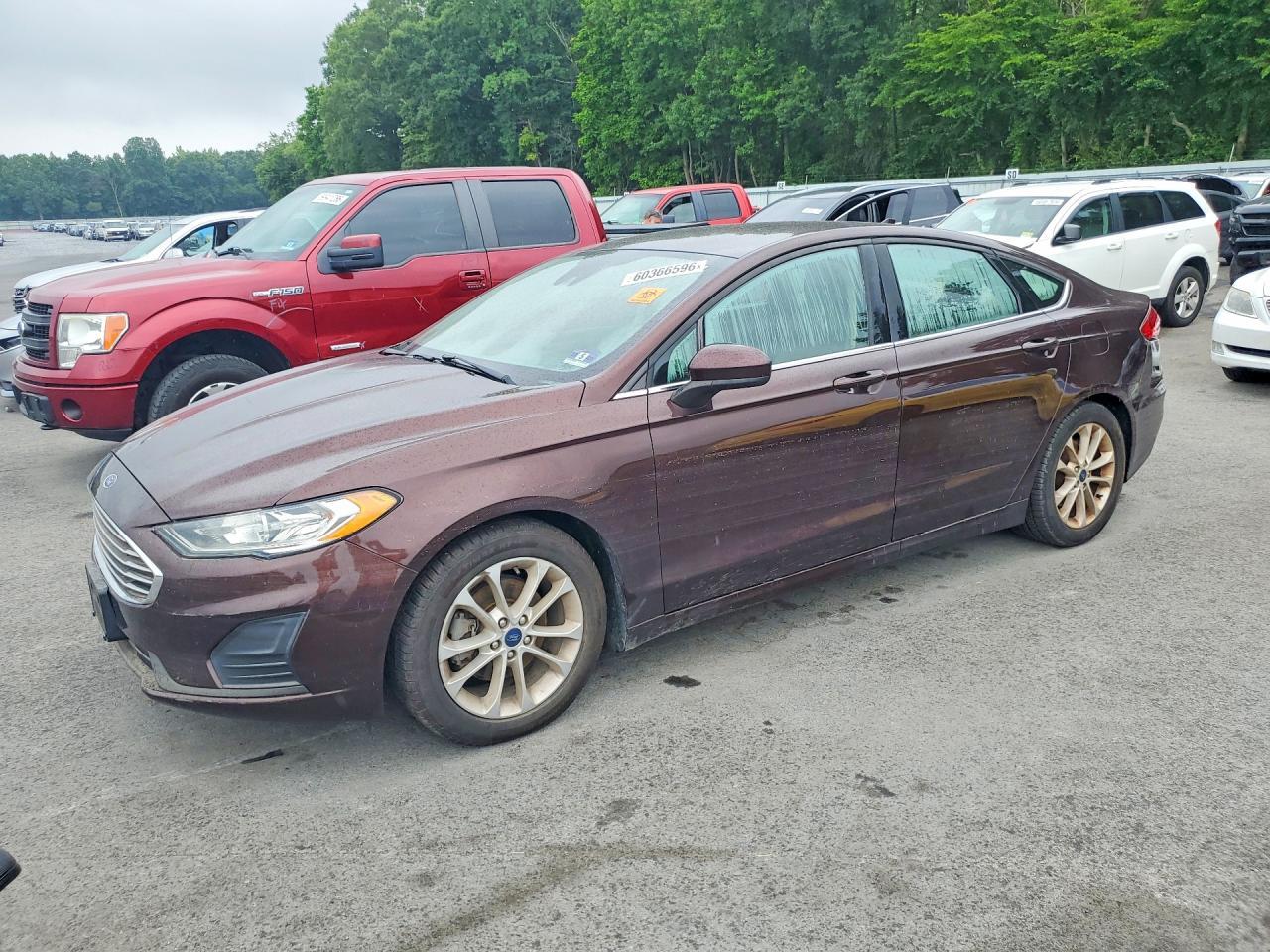 2019 Ford Fusion Se