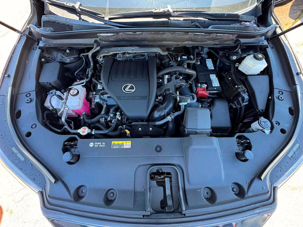 2023 Lexus Rx 350 Premium - Фото 7