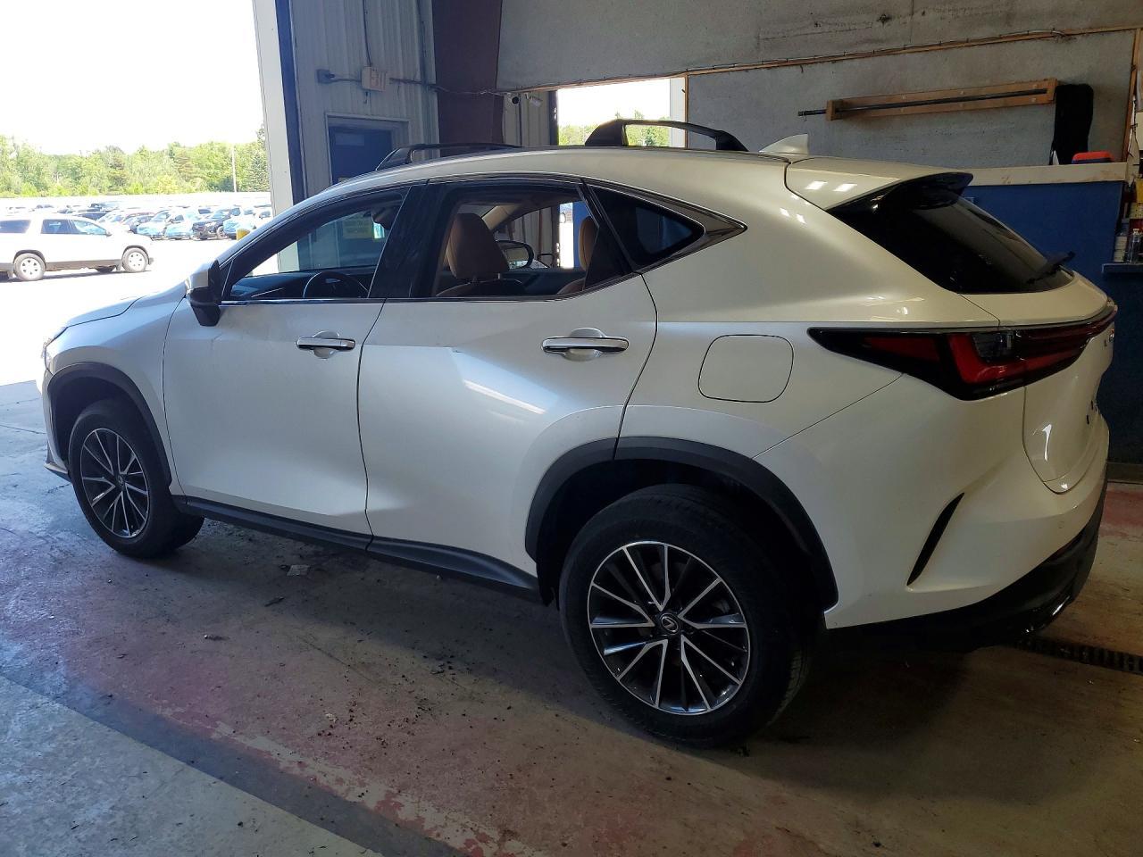2024 Lexus Nx 350 Premium - Image 2