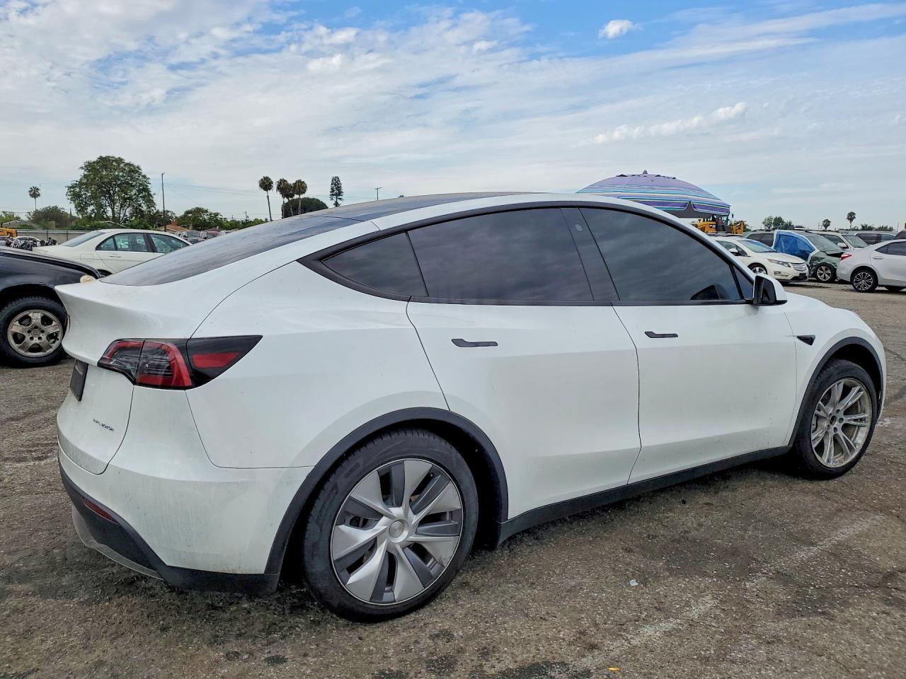 2023 Tesla Model Y - Фото 3