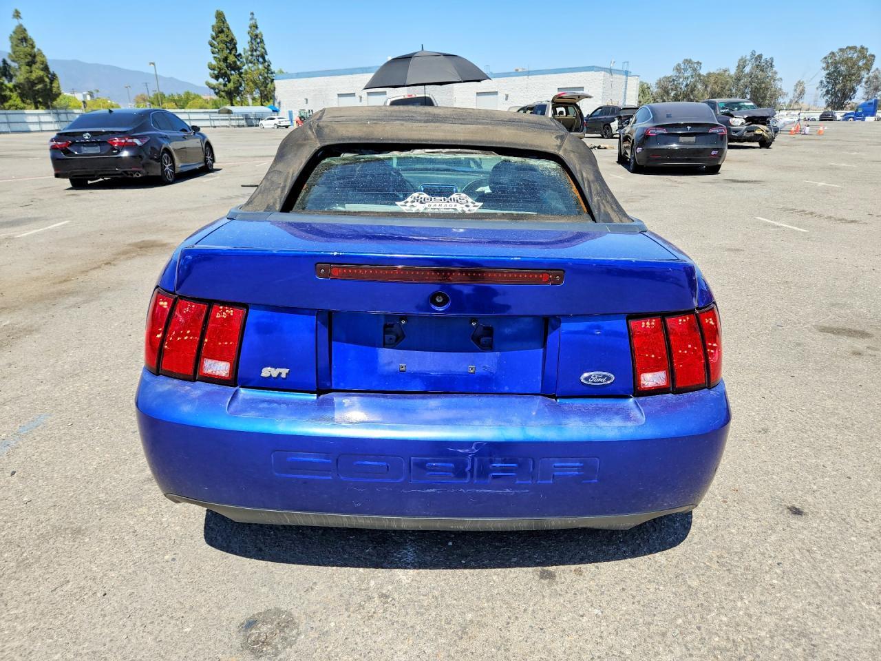 2003 Ford Mustang Cobra Svt - Фото 6