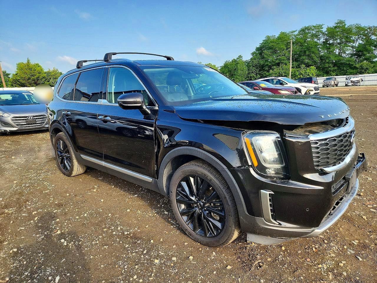2021 Kia Telluride Sx - Фото 4