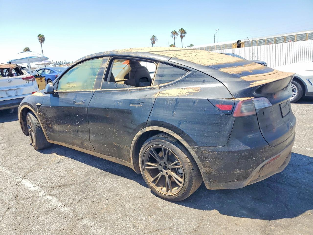 2024 Tesla Model Y - Фото 2