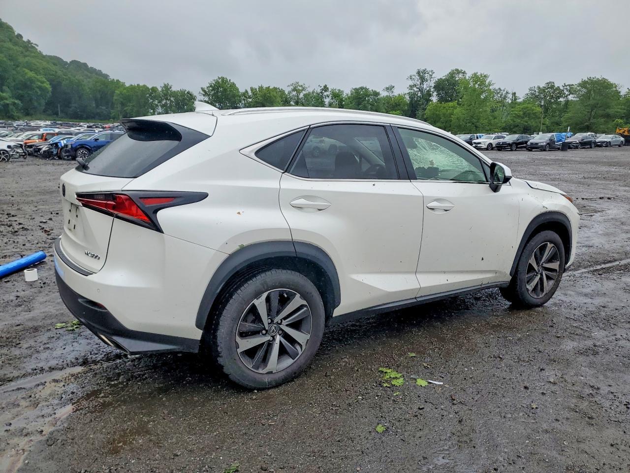 2018 Lexus Nx 300 Base - Фото 3