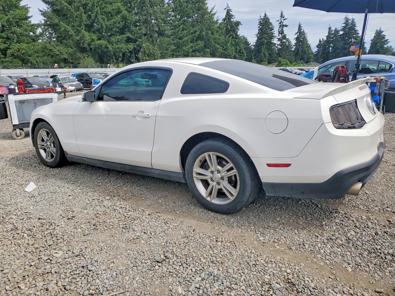 2010 Ford Mustang - Фото 2