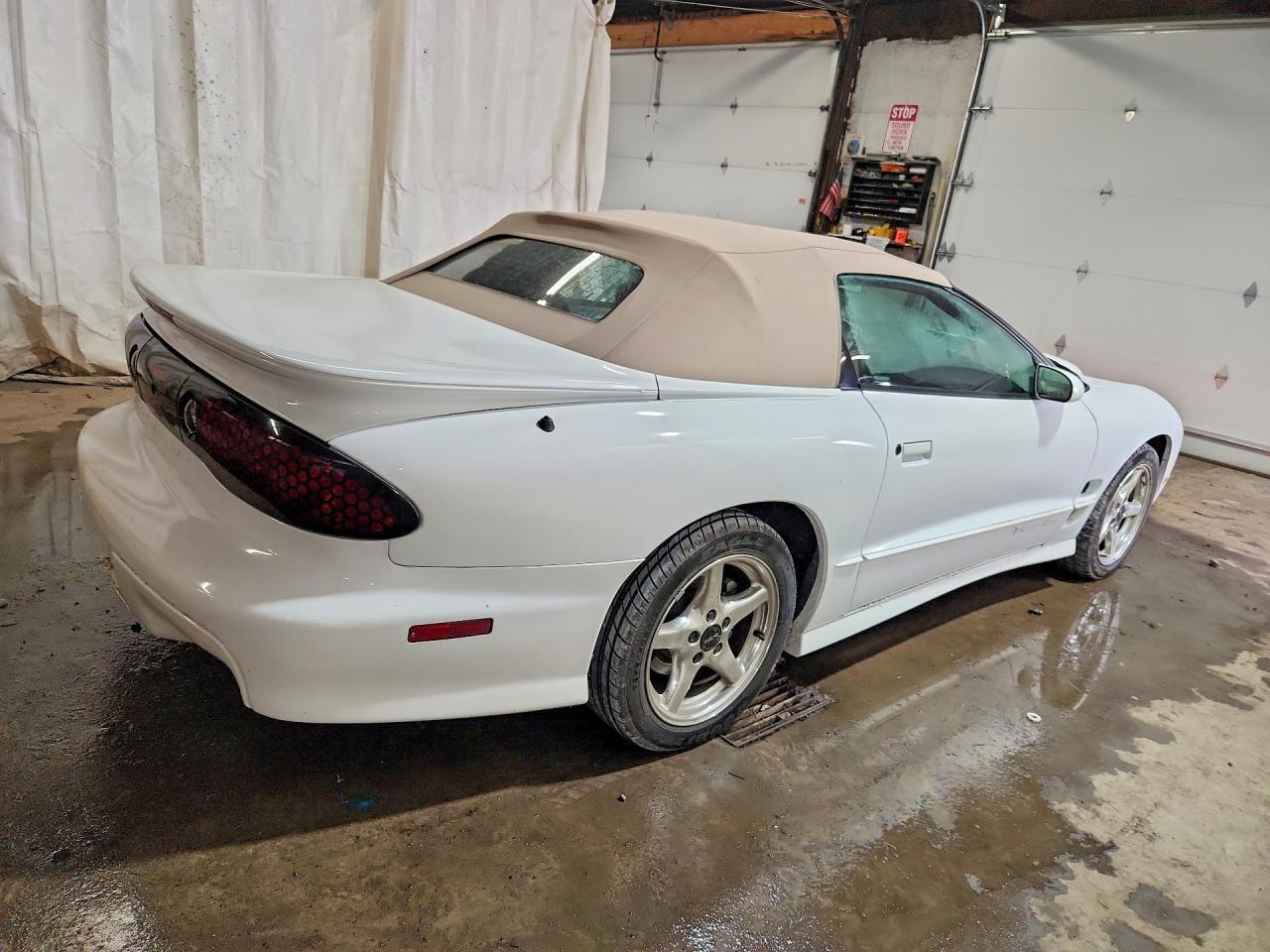 2000 Pontiac Firebird Trans Am - Image 3