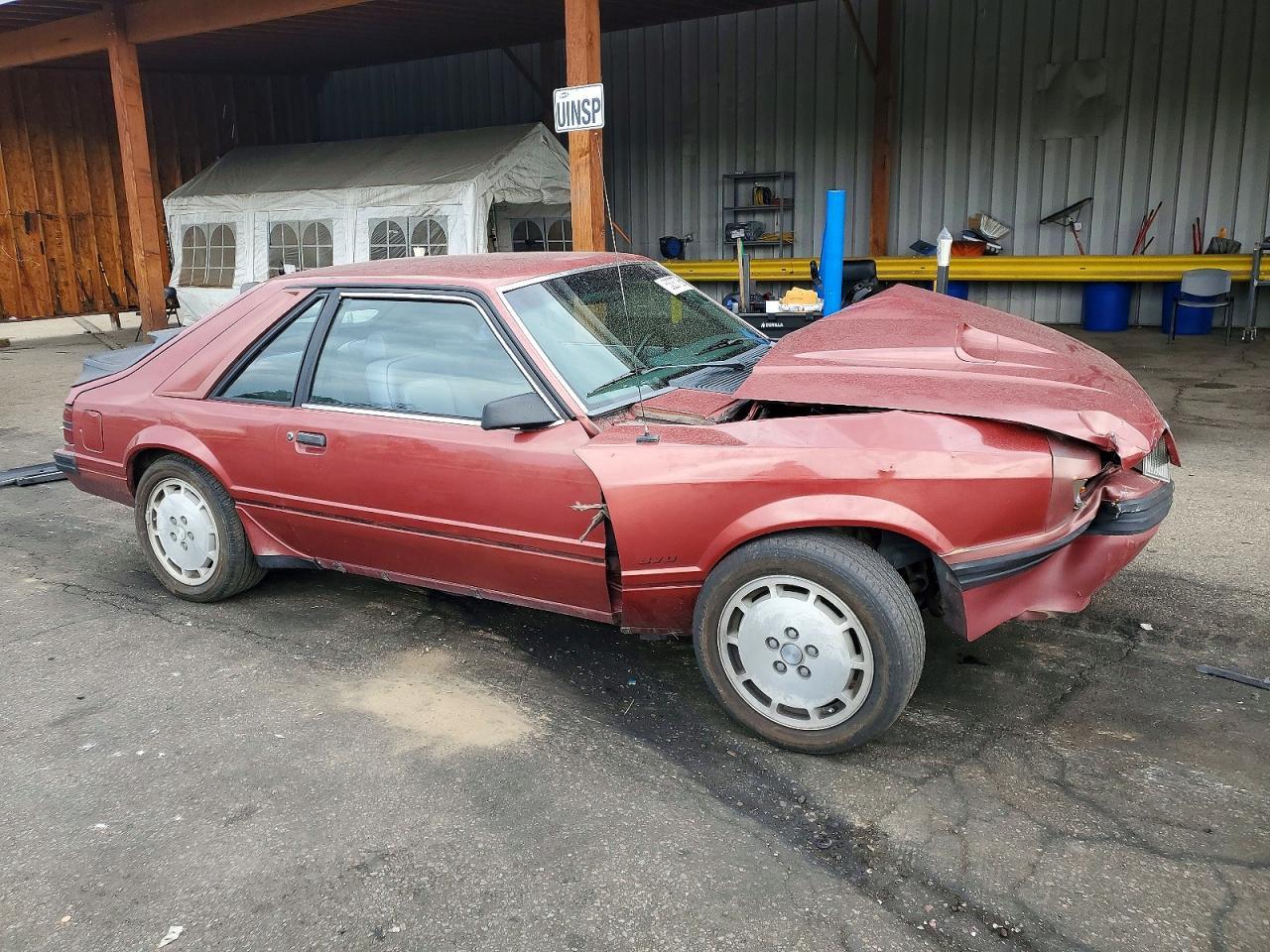 1984 Ford Mustang Svo - Image 4