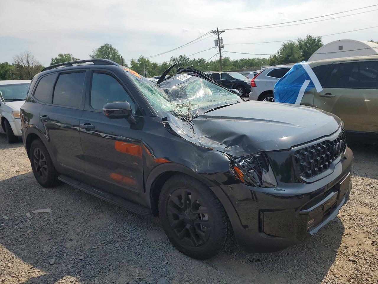 2025 Kia Telluride Sx-Prestige X-Pro - Фото 4