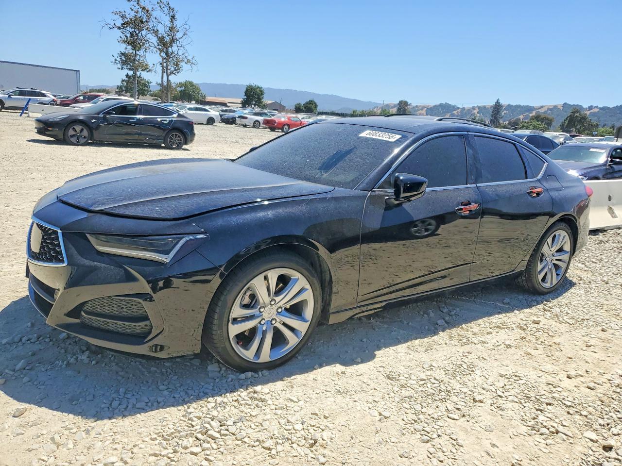 2023 Acur Tlx Techno