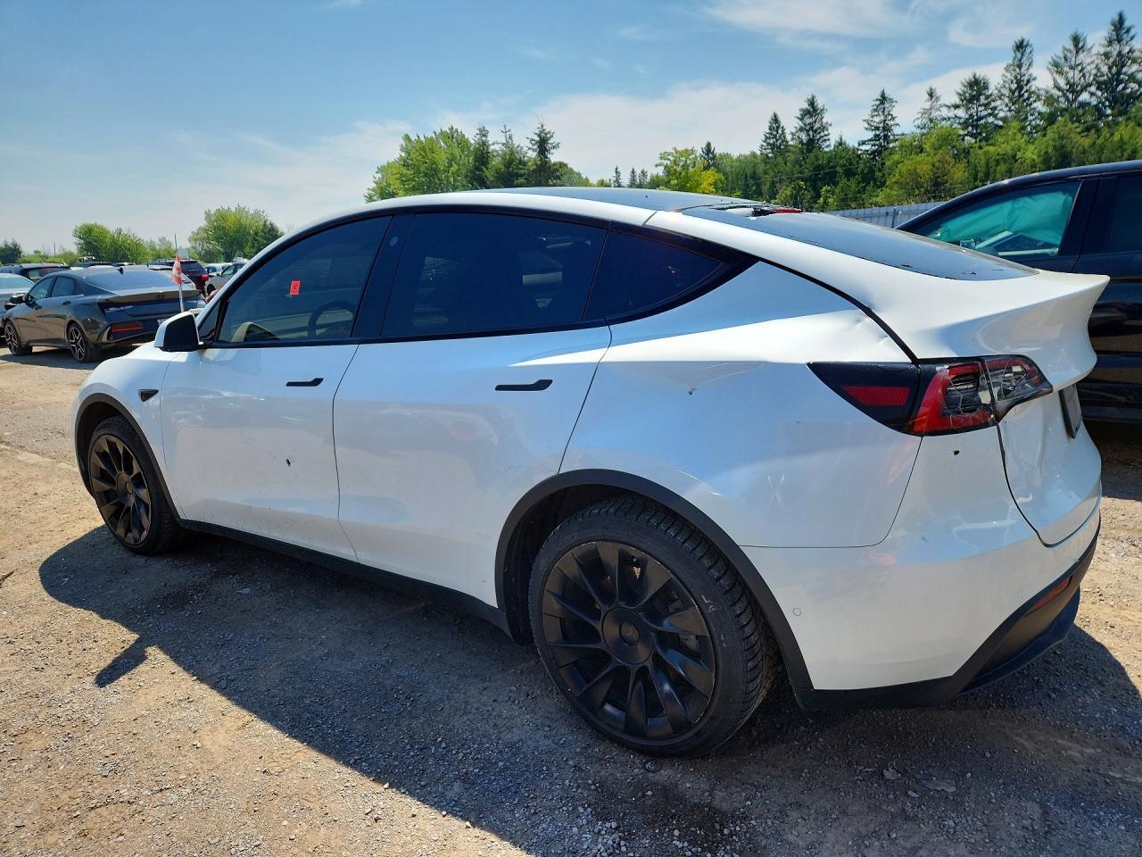 2021 Tesla Model Y - Фото 2