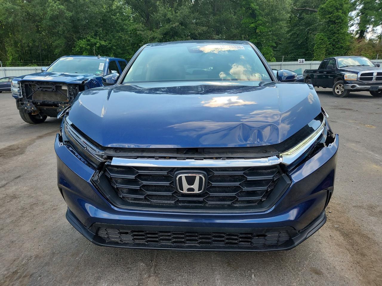 2025 Honda Cr-V Exl - Image 5