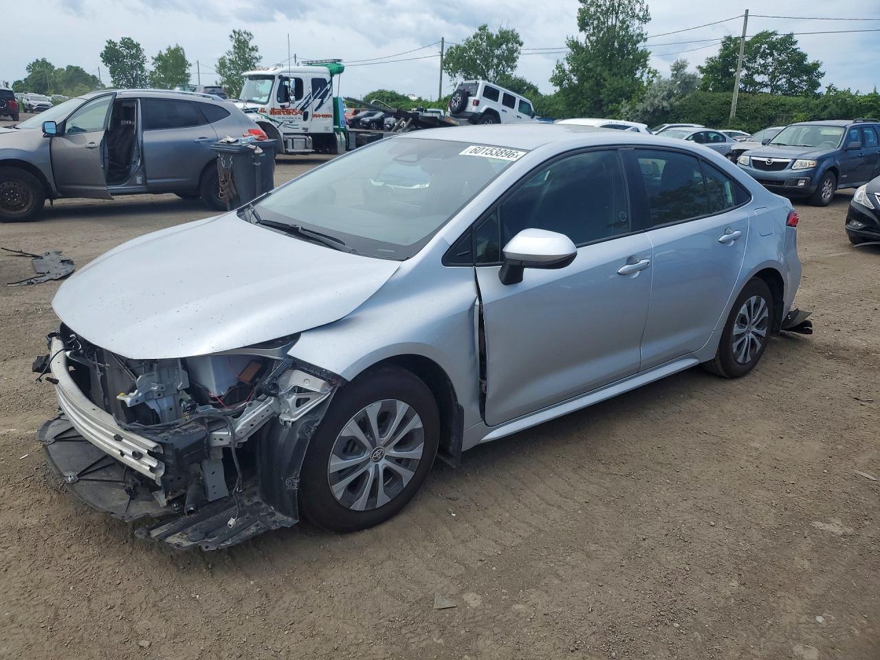 2024 Toyota Corolla Le/Se/Xle/Night Shade