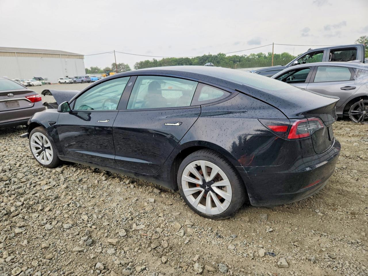2023 Tesla Model 3 - Фото 2