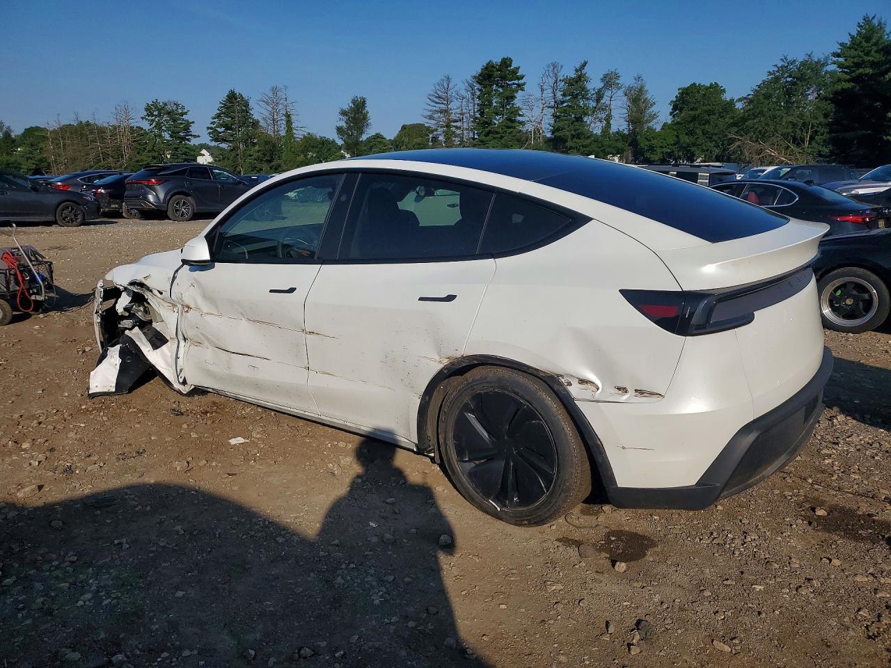 2026 Tesla Model Y - Image 2