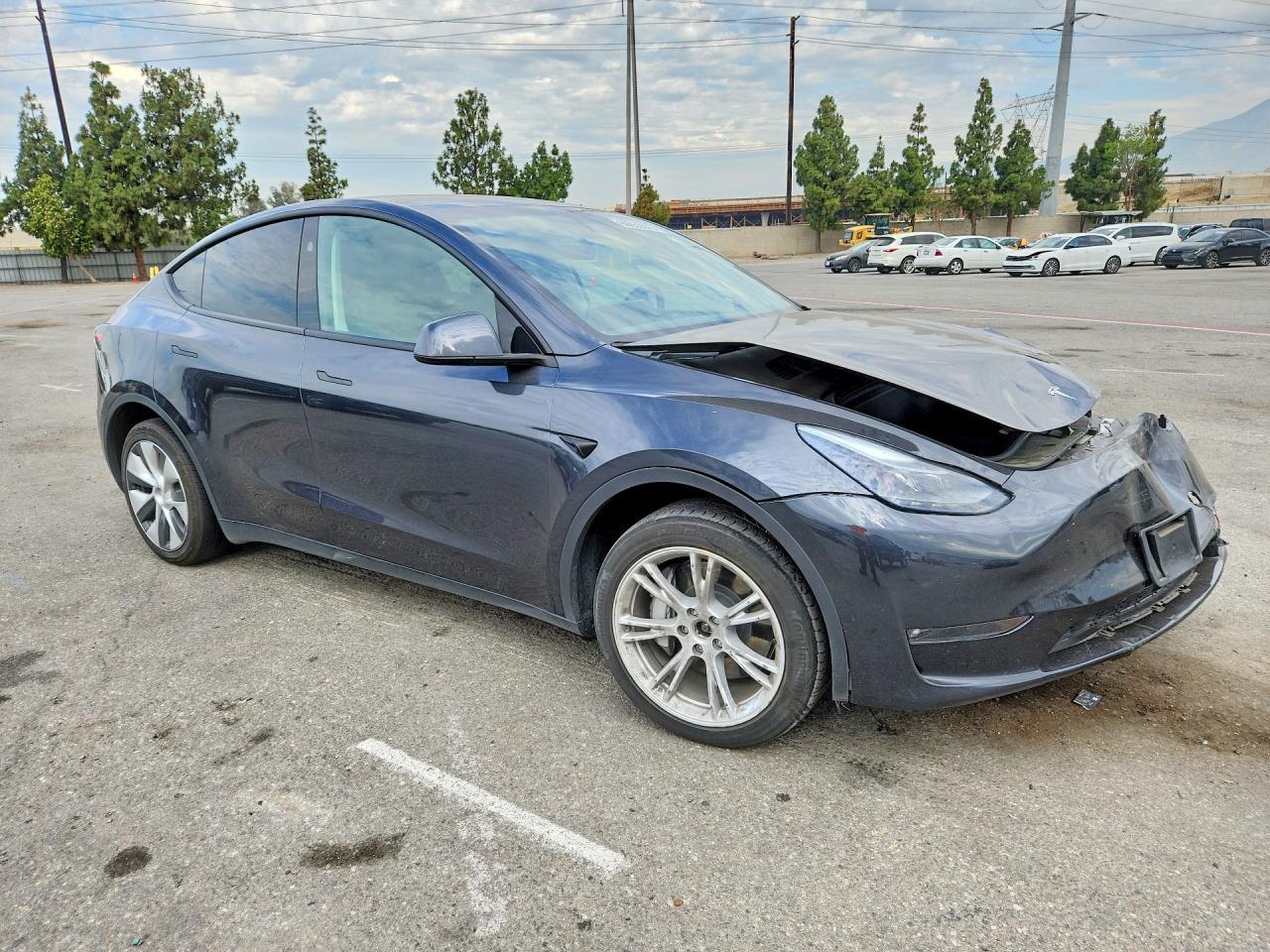 2024 Tesla Model Y - Фото 4