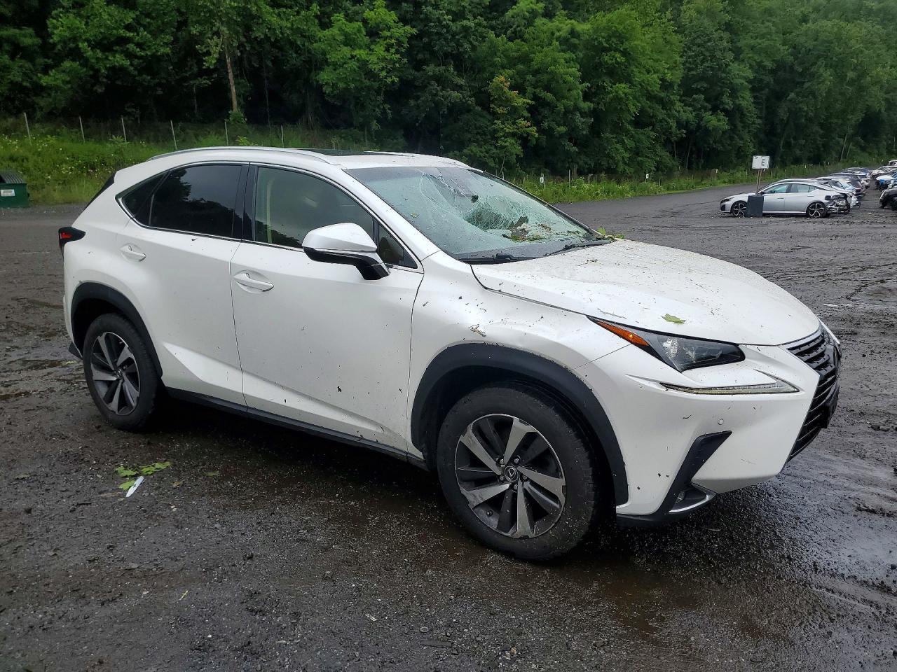 2018 Lexus Nx 300 Base - Фото 4