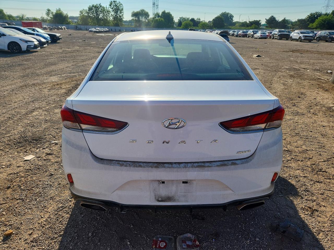 2019 Hyundai Sonata Sport - Фото 6