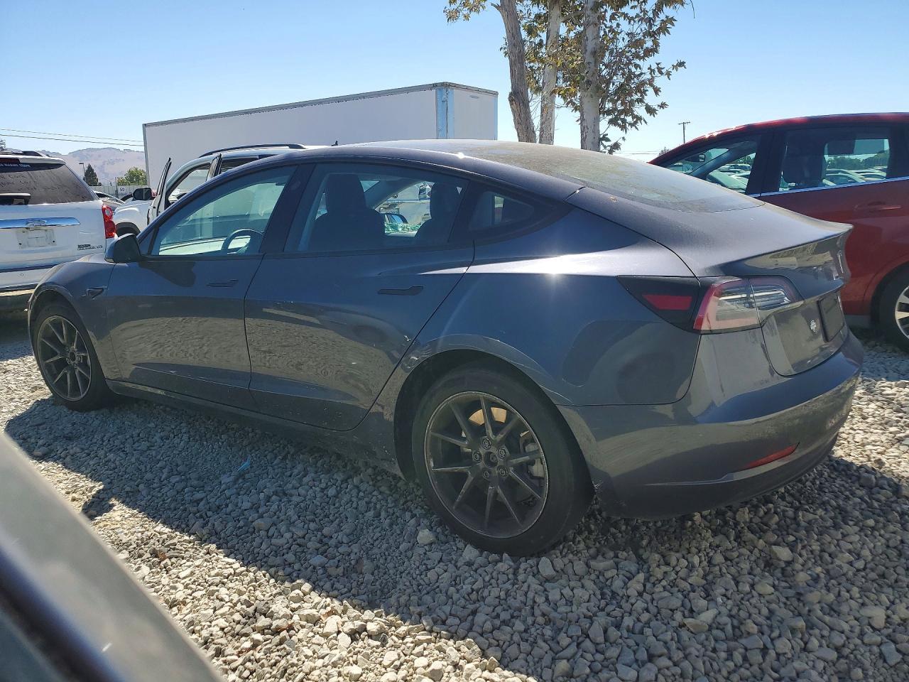 2023 Tesla Model 3 - Фото 2