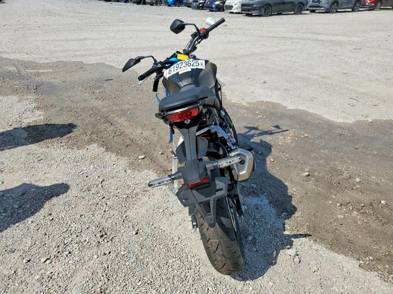 2024 Honda Cbf300 - Image 4
