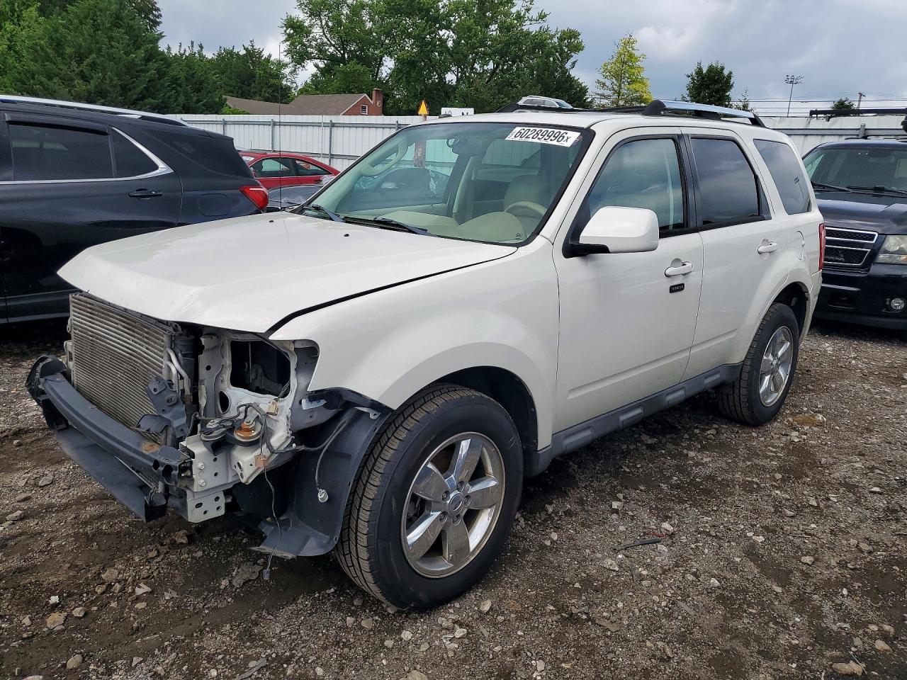 2010 Ford Escape Limited