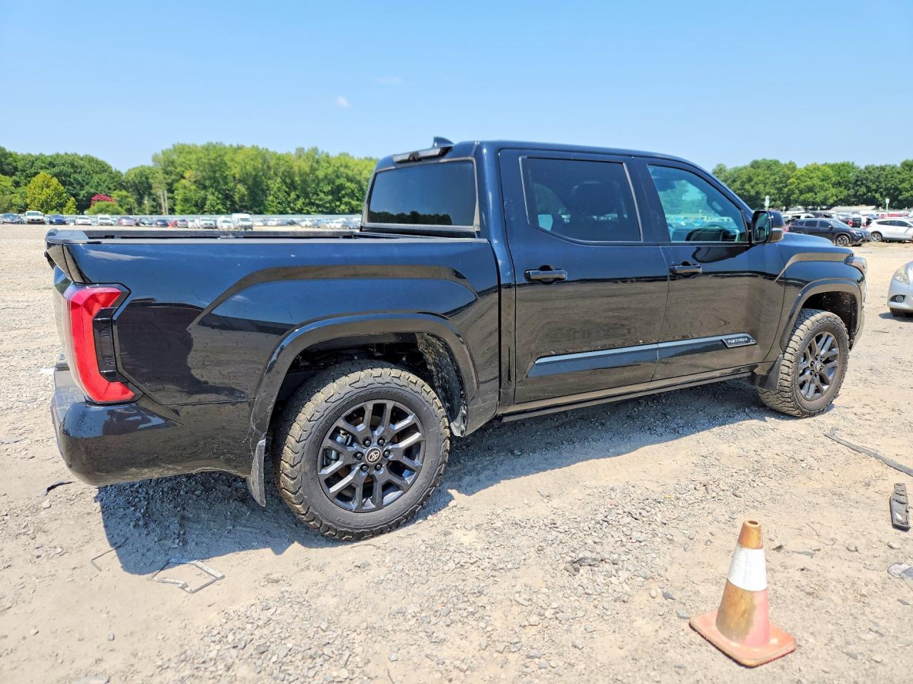 2025 Toyota Tundra Platinum - Image 3