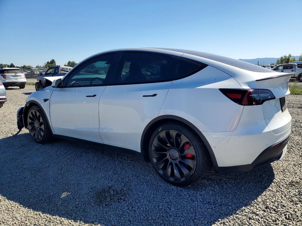 2022 Tesla Model Y - Фото 2