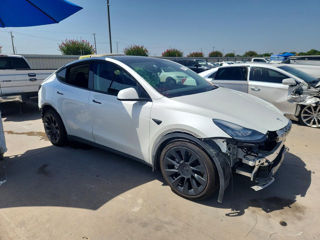 2022 Tesla Model Y - Фото 4