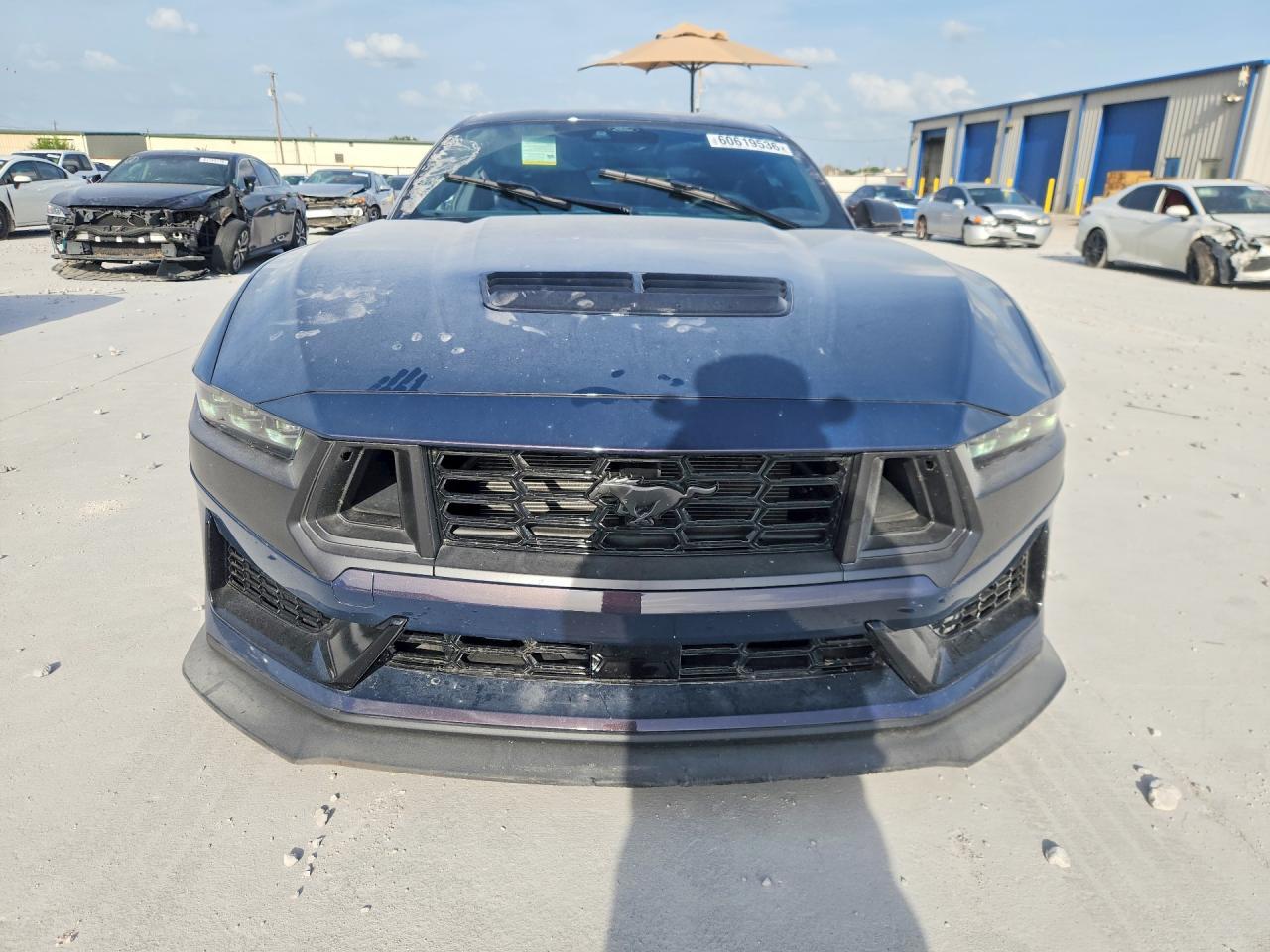 2024 Ford Mustang Dark Horse - Фото 5