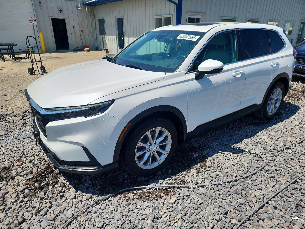 2024 Honda Cr-V Exl
