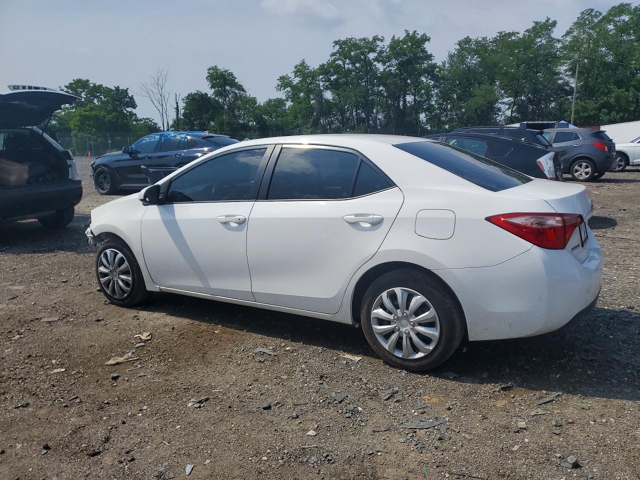 2019 Toyota Corolla Le - Фото 2