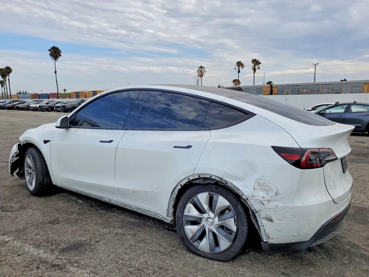 2023 Tesla Model Y - Фото 2