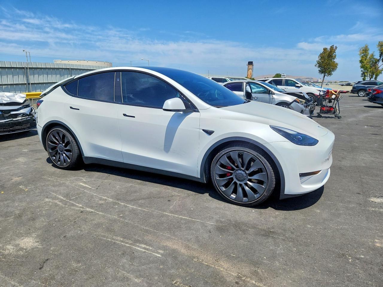 2023 Tesla Model Y - Фото 4