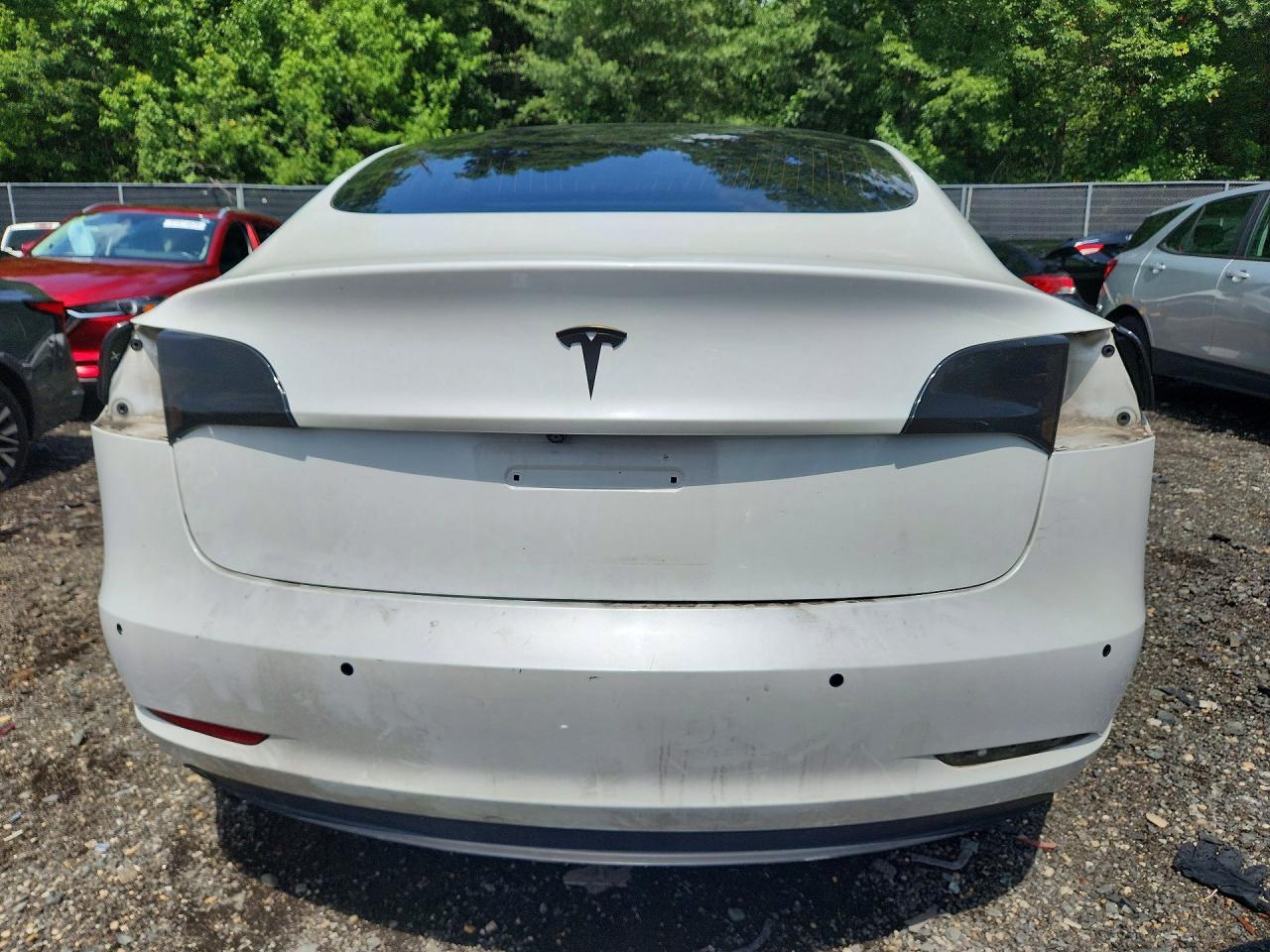 2019 Tesla Model 3 - Фото 6