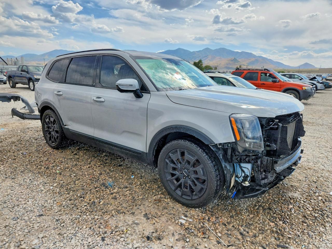 2022 Kia Telluride Sx - Фото 4