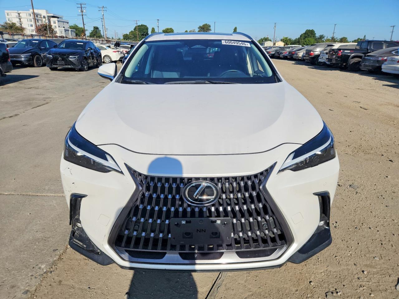 2024 Lexus Nx 350H Premium - Image 5