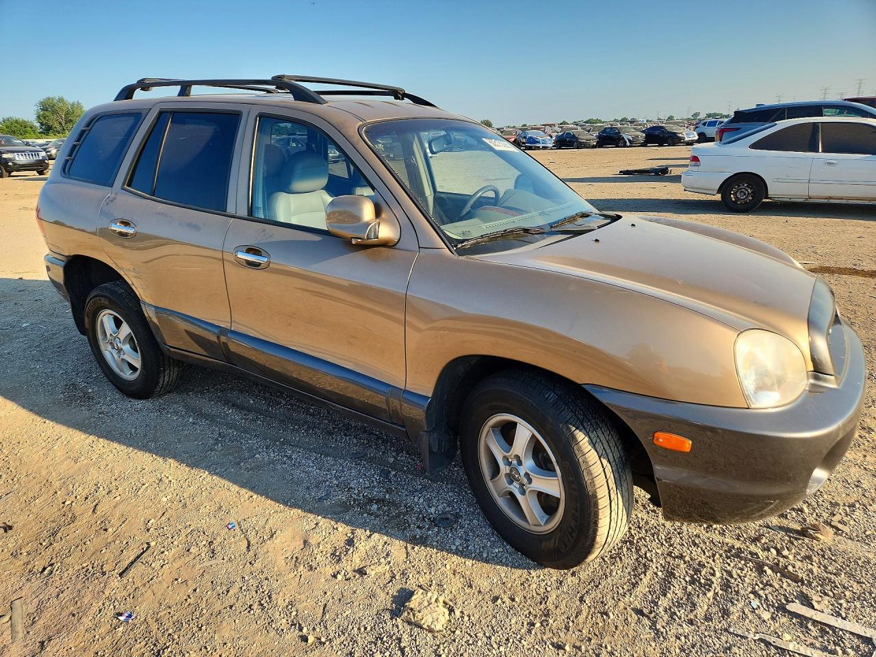 2002 Hyundai Santa Fe Gls - Фото 4