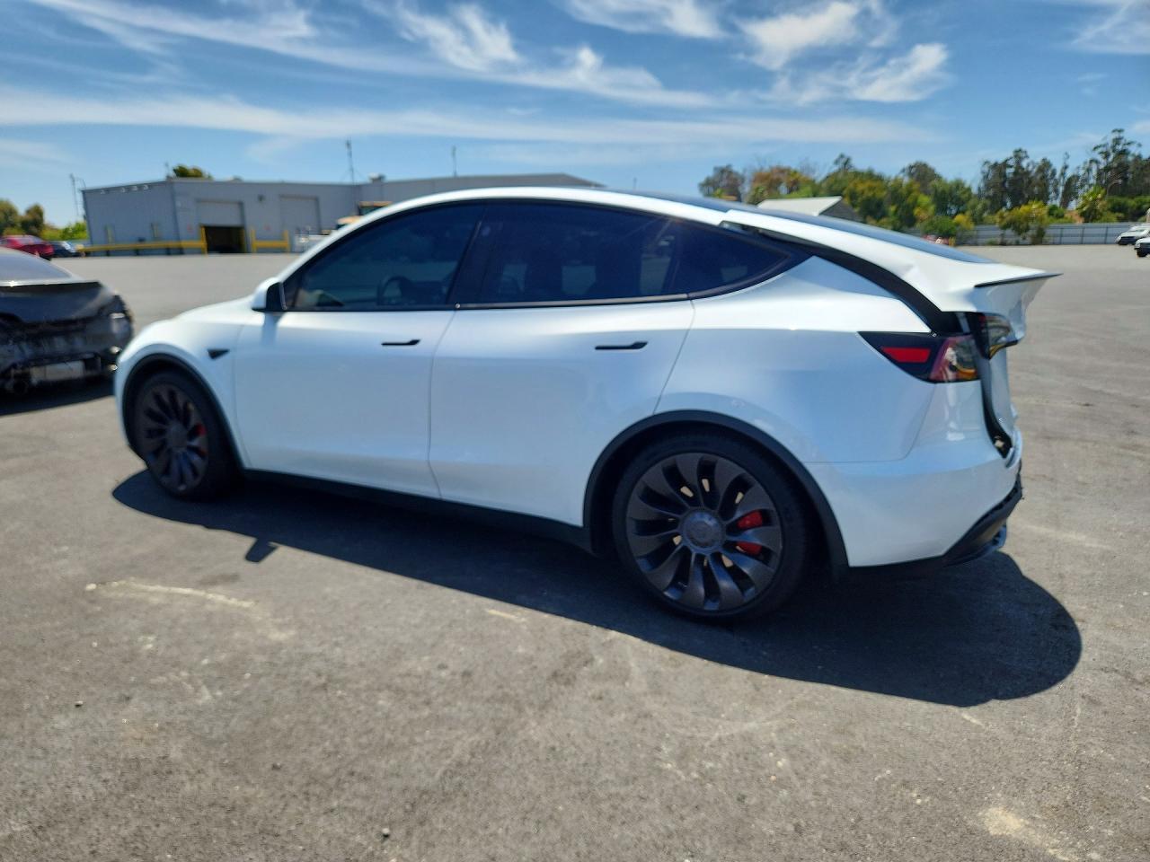 2023 Tesla Model Y - Фото 2