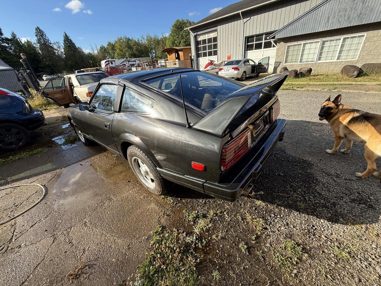 1982 Datsun 280Zx - Фото 3