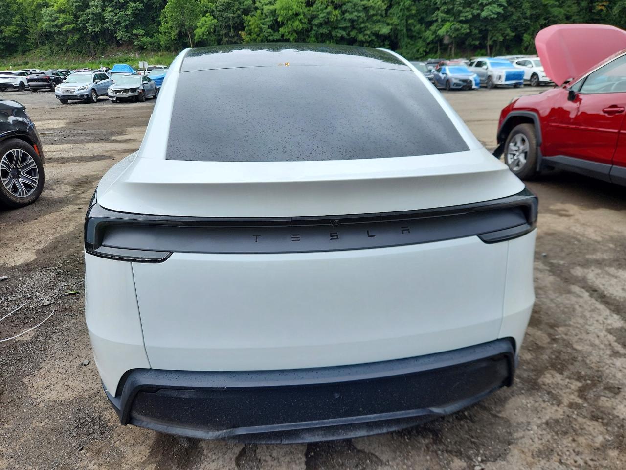 2026 Tesla Model Y - Image 6