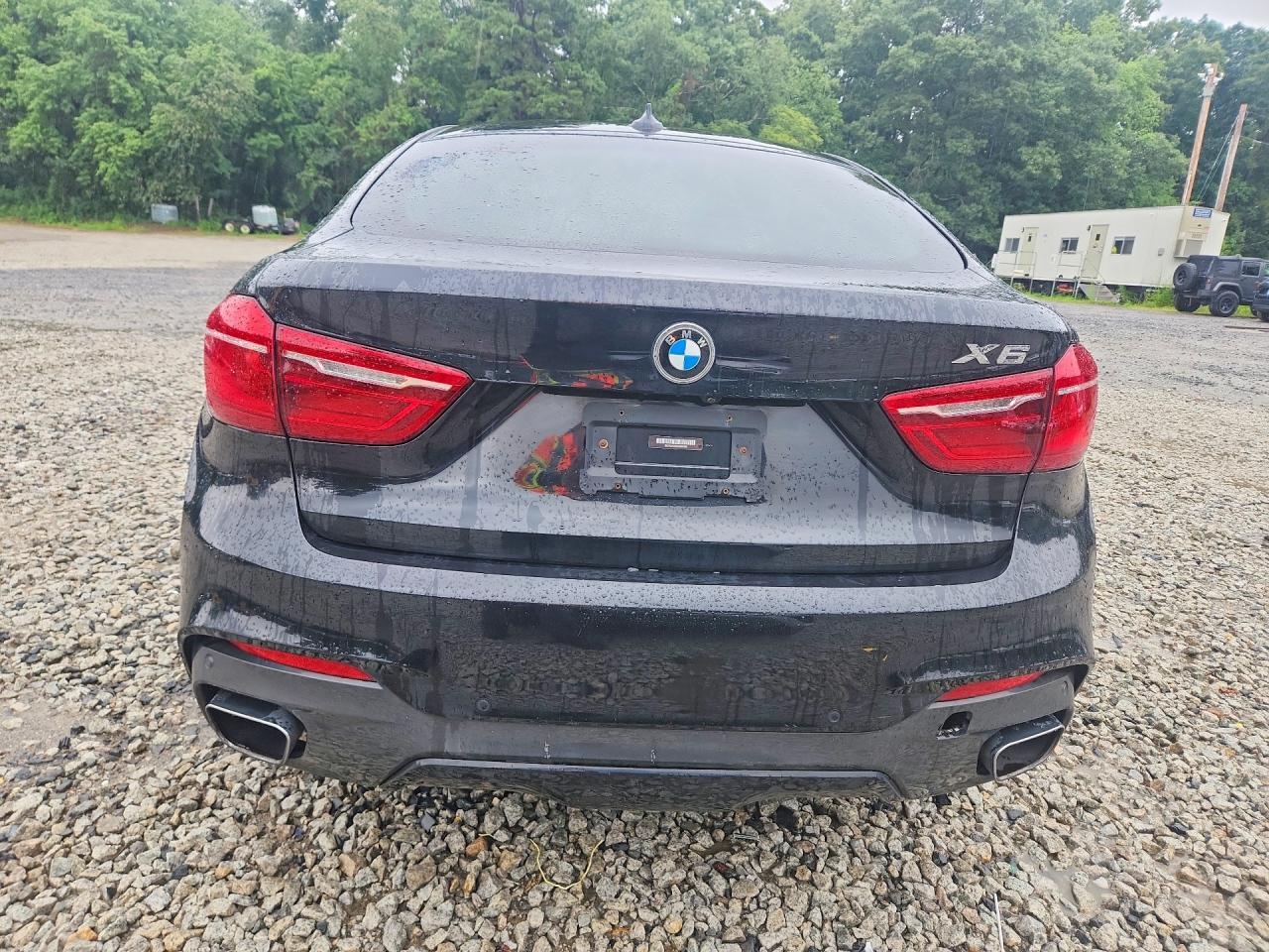 2019 BMW X6 xDrive35I - Фото 6