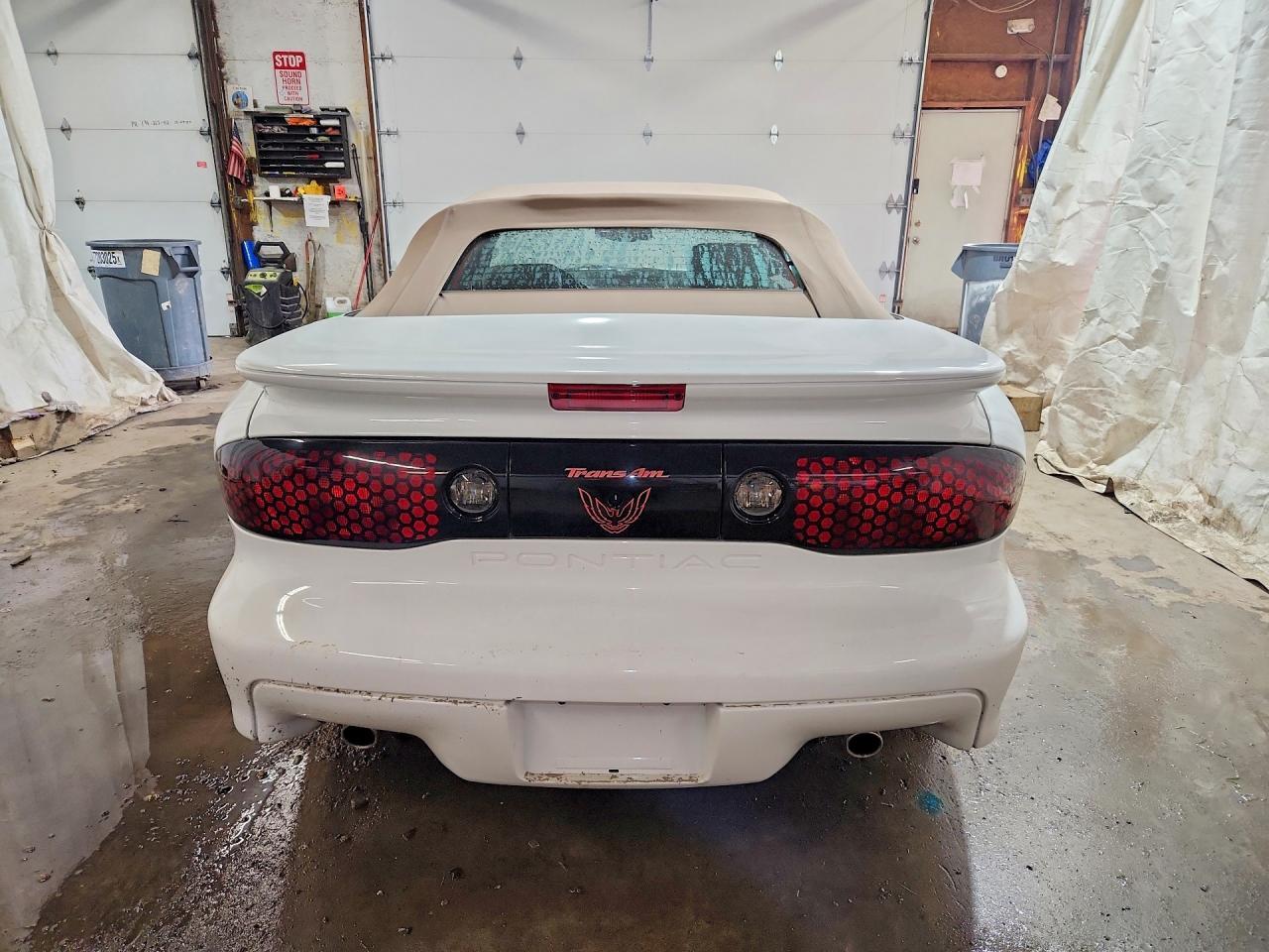 2000 Pontiac Firebird Trans Am - Image 6