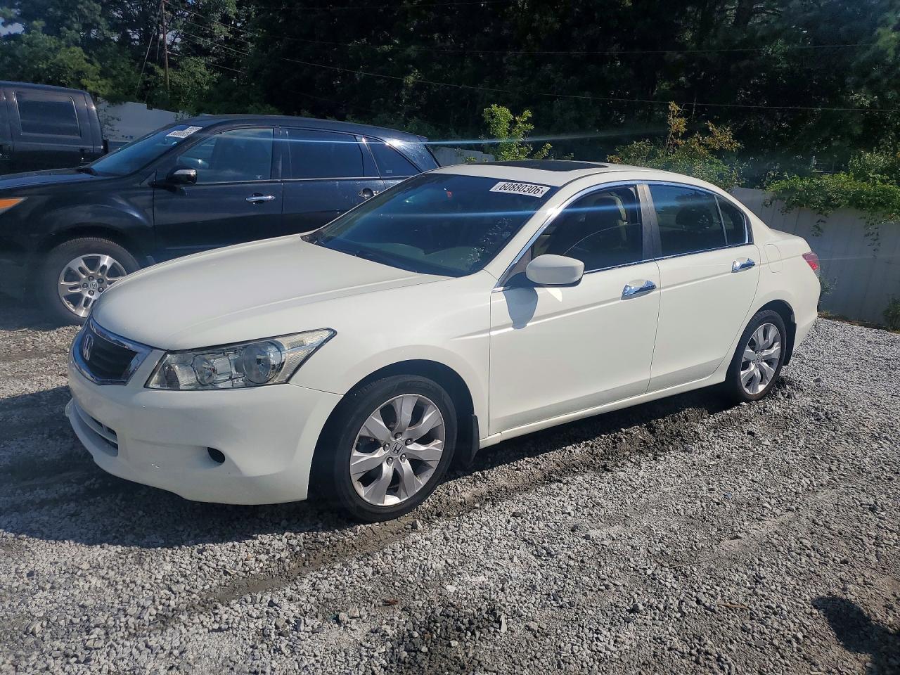 2010 Honda Accord Exl