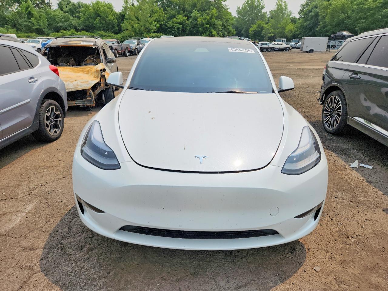 2023 Tesla Model Y - Image 5