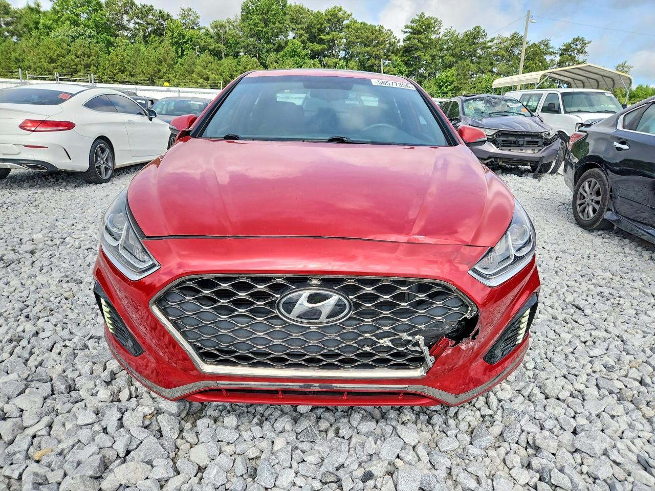 2019 Hyundai Sonata Sport - Фото 5