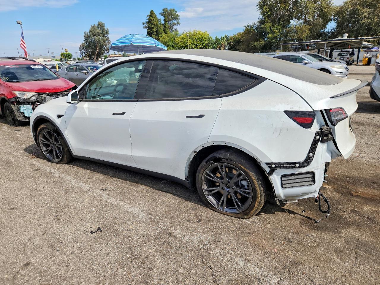 2025 Tesla Model Y - Фото 2