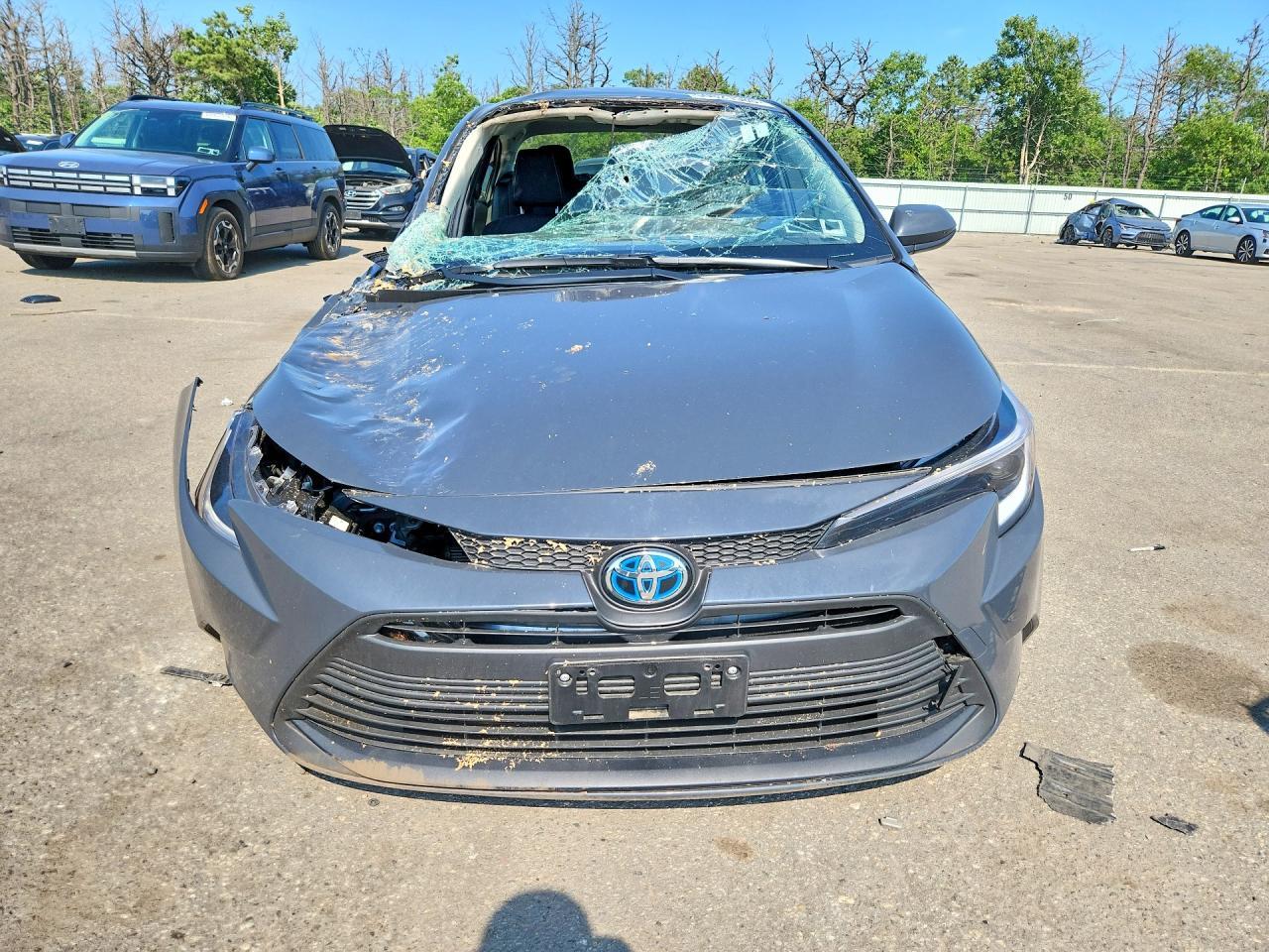 2025 Toyota Corolla Hybrid Le - Фото 5