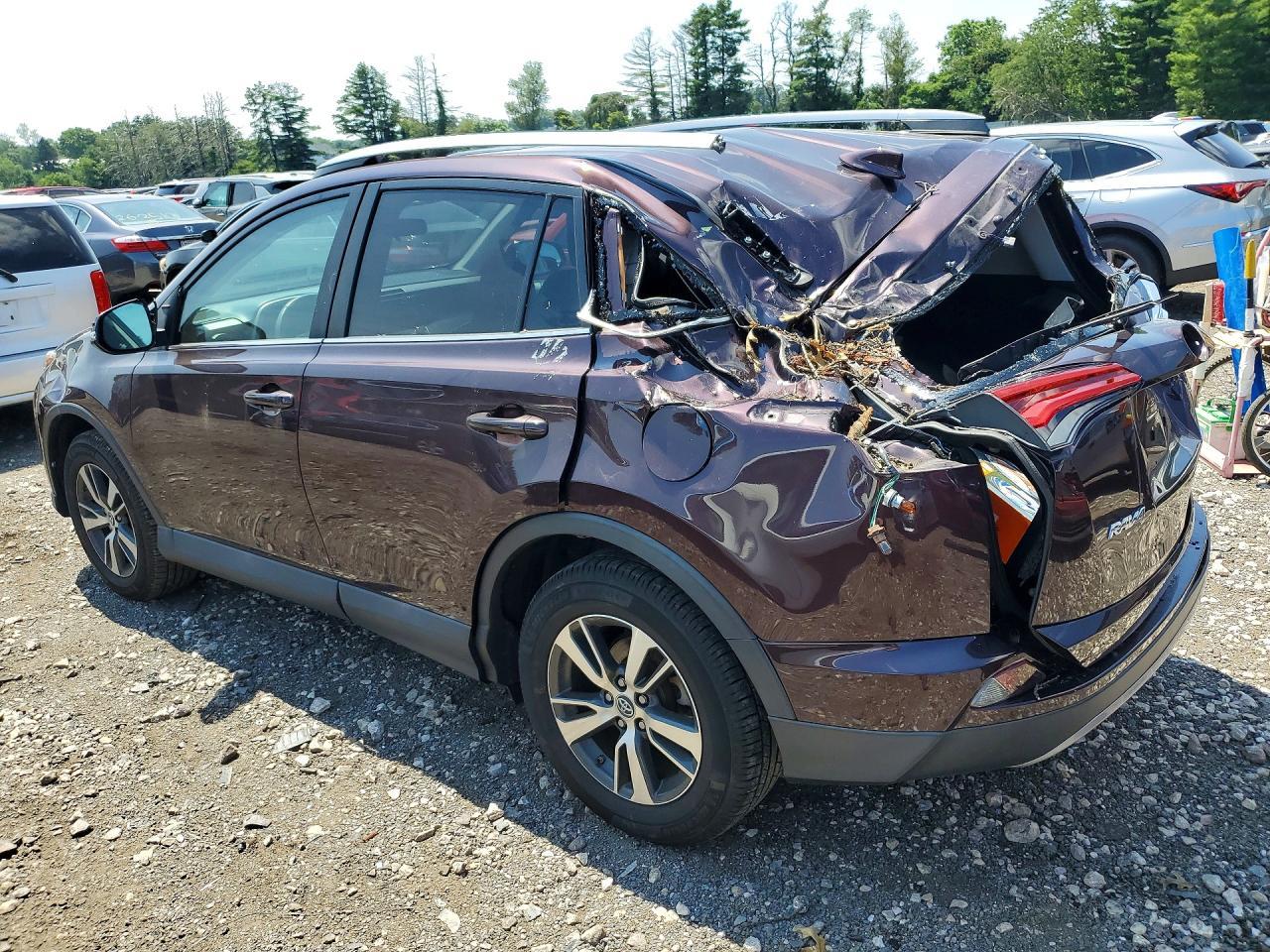 2017 Toyota Rav4 Xle - Фото 2
