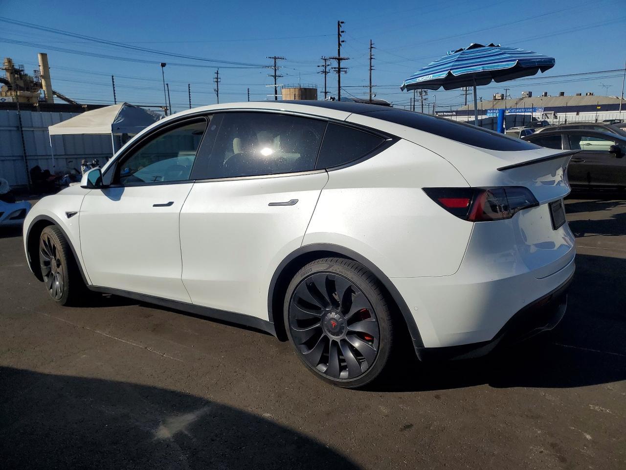 2022 Tesla Model Y - Фото 2